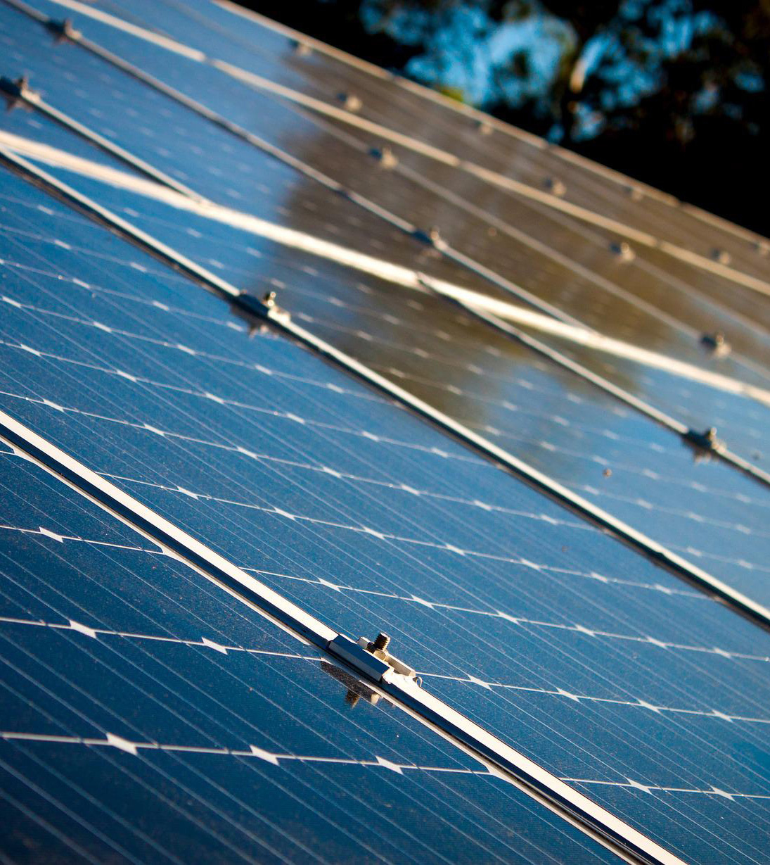 Solar Panels for Community Solar