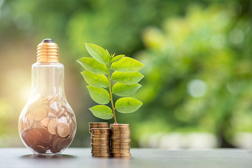 Lightbulb full of pennies and plant growing out of a stack of change,